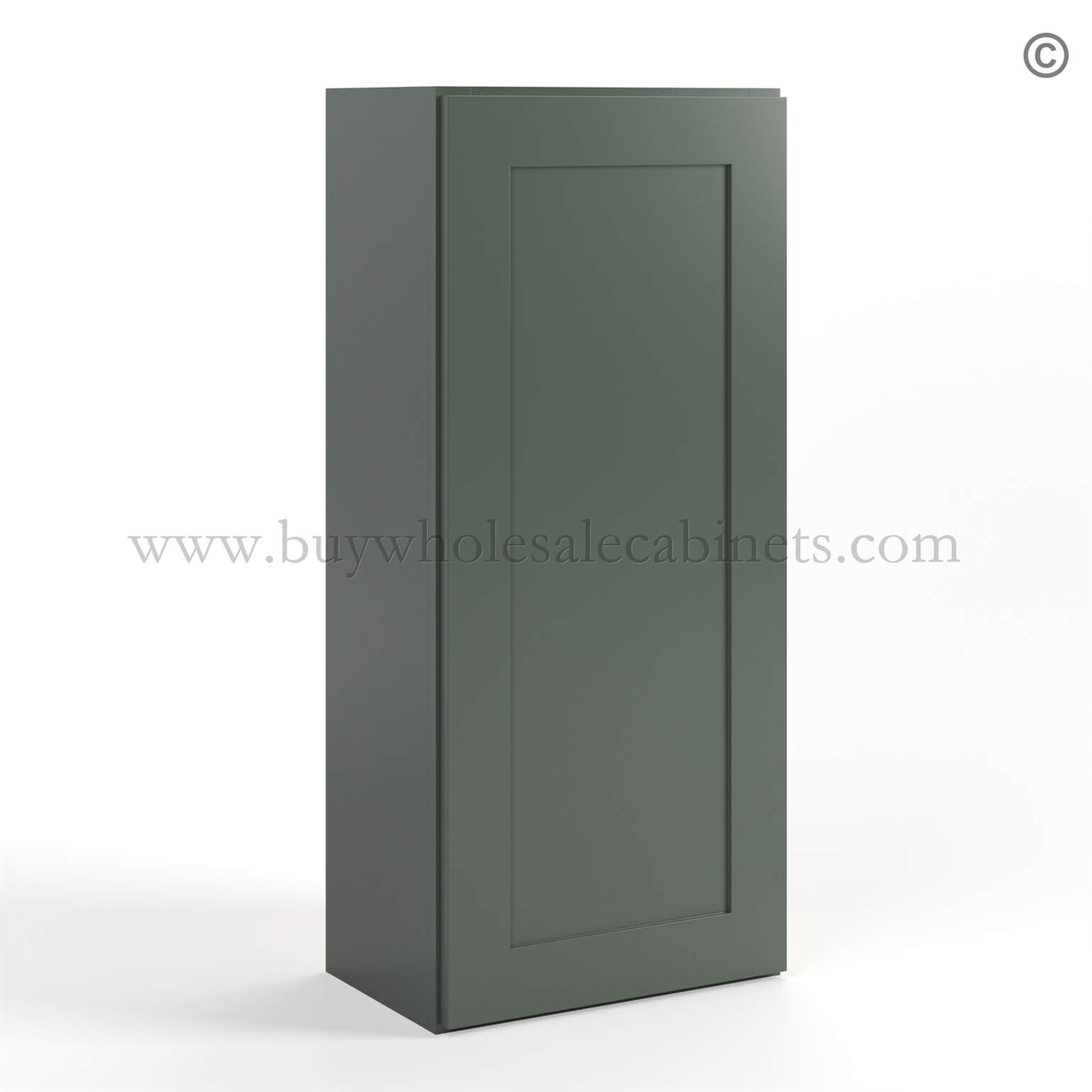 16-green-shaker-wall-cabinet-single-door-42h-closed-finish-side Green Shaker 42 H Single Door Wall Cabinet