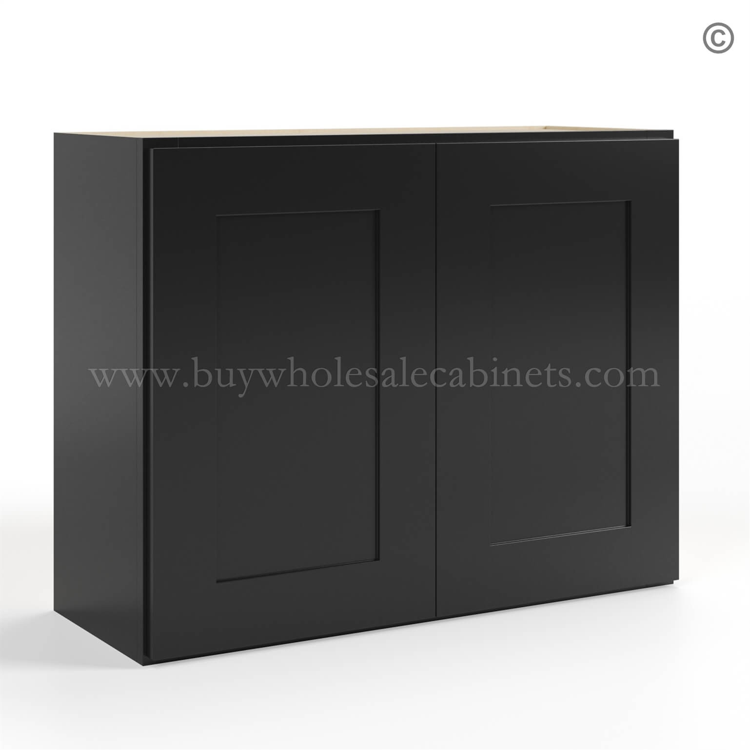 Black Shaker 24 H Double Door Wall Cabinet